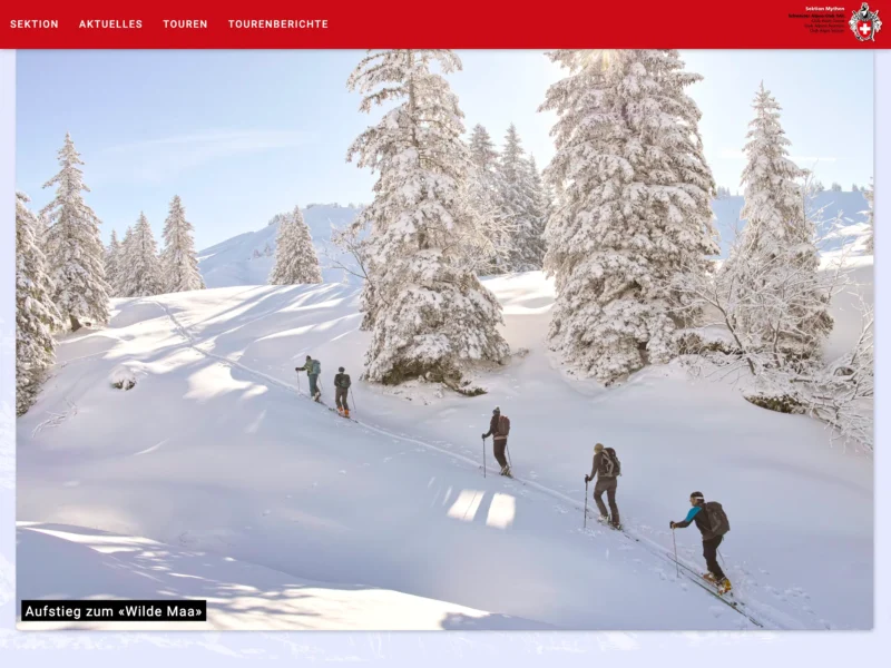 Suchmaschinenoptimierung | Webdesign | Bei Google zuerst | SEO | Schwyz | Zug | Luzern | Altdorf | ulrich.digital